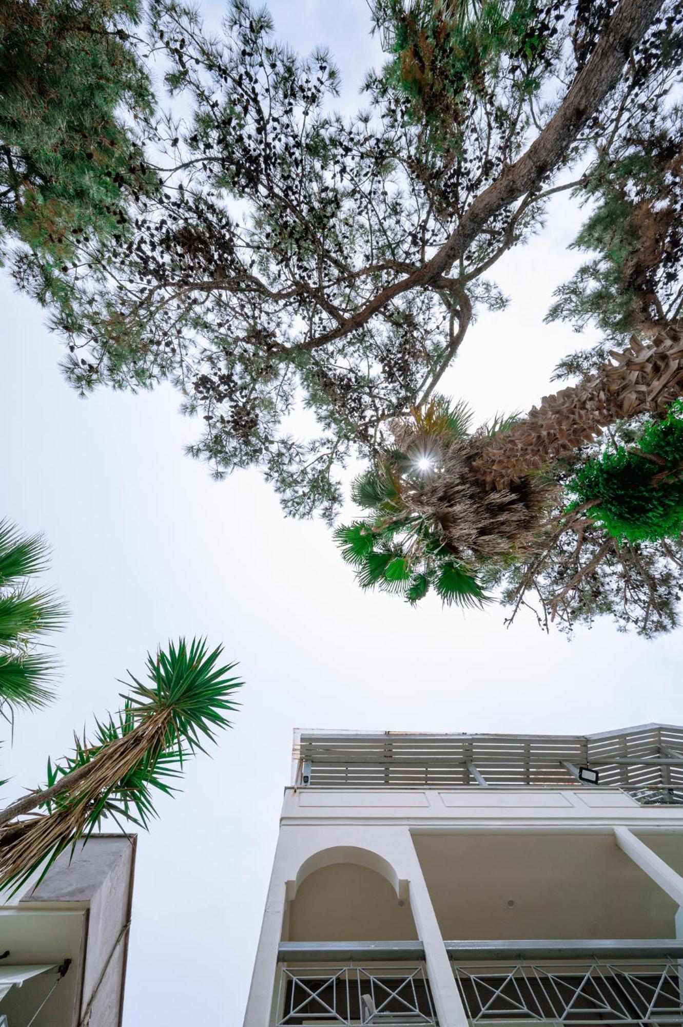 Ktima Papaoikonomou Potos Exterior foto